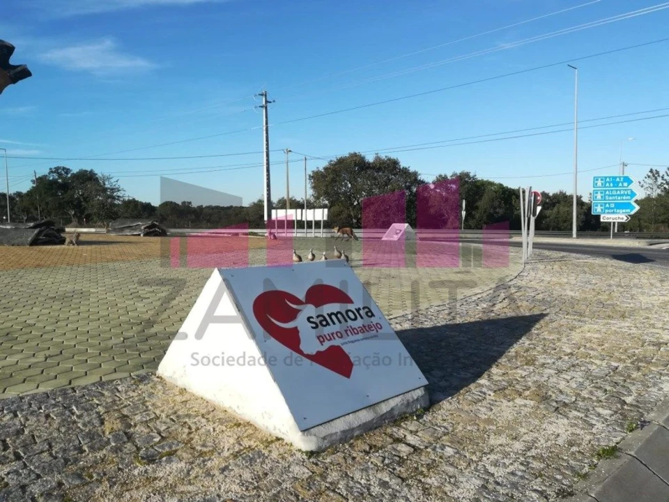 Terreno Agricola ou Rústico para Venda em Belazaima do Chão, Castanheira do Vouga e Agadão Foto 6