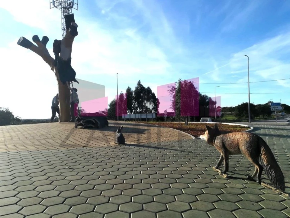 Terreno Agricola ou Rústico para Venda em Belazaima do Chão, Castanheira do Vouga e Agadão Foto 8