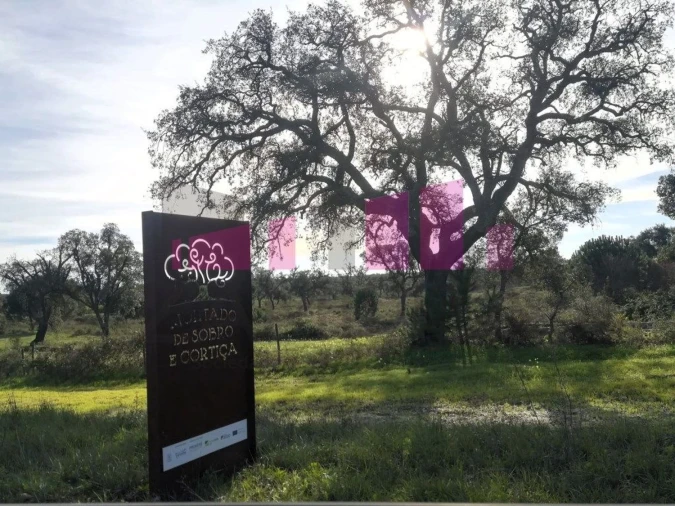 Terreno Agricola ou Rústico para Venda em Belazaima do Chão, Castanheira do Vouga e Agadão
