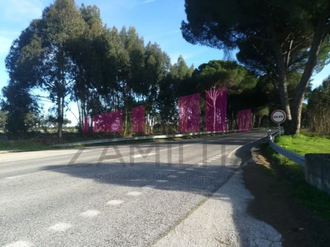 Terreno Agricola ou Rústico para Venda em Belazaima do Chão, Castanheira do Vouga e Agadão Foto 11