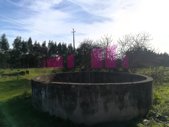 Terreno Agricola ou Rústico para Venda em Belazaima do Chão, Castanheira do Vouga e Agadão Foto 14