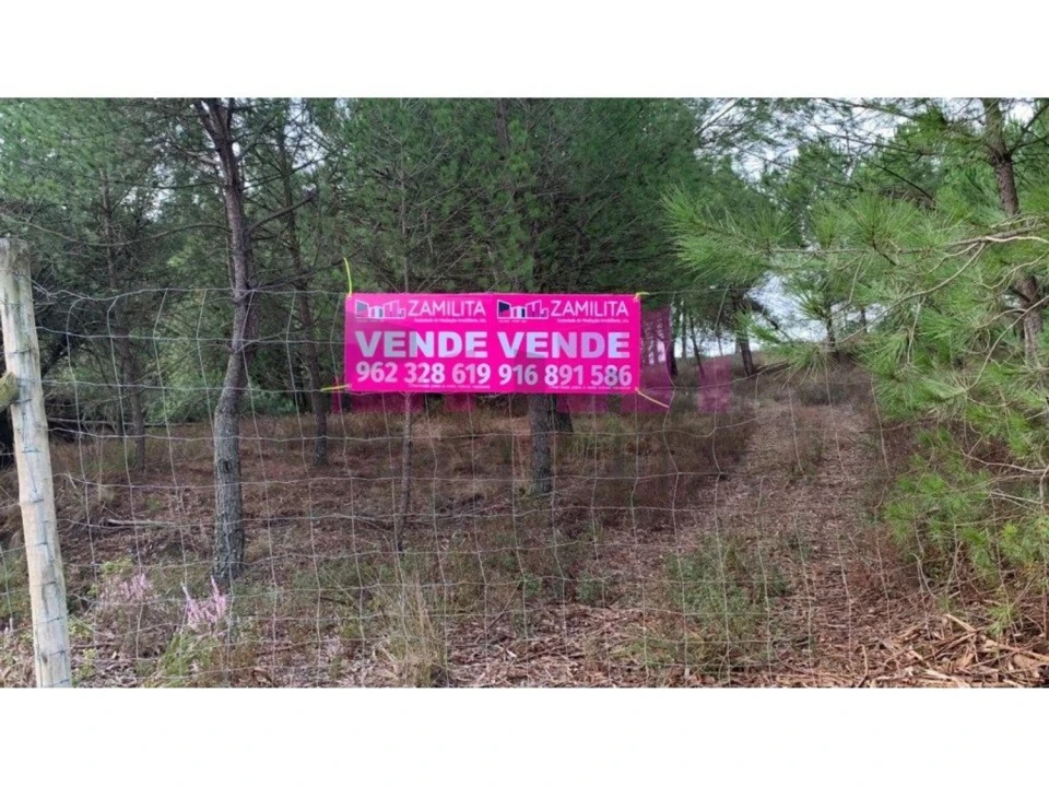 Terreno para Venda em Belazaima do Chão, Castanheira do Vouga e Agadão Foto 1