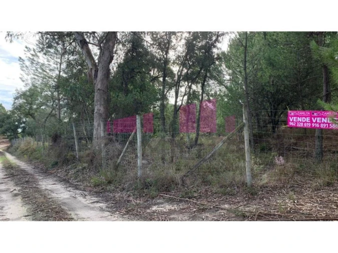 Terreno para Venda em Belazaima do Chão, Castanheira do Vouga e Agadão Foto 4