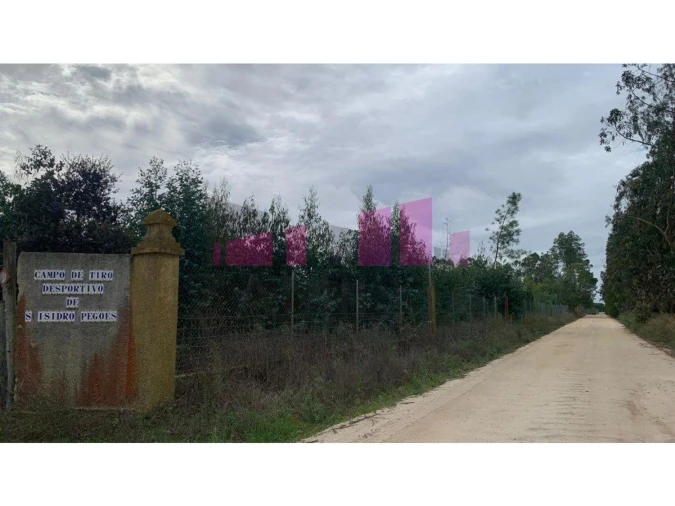 Terreno para Venda em Belazaima do Chão, Castanheira do Vouga e Agadão Foto 7