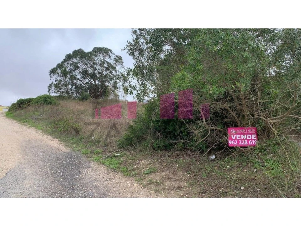 Terreno para Venda em Belazaima do Chão, Castanheira do Vouga e Agadão Foto 1