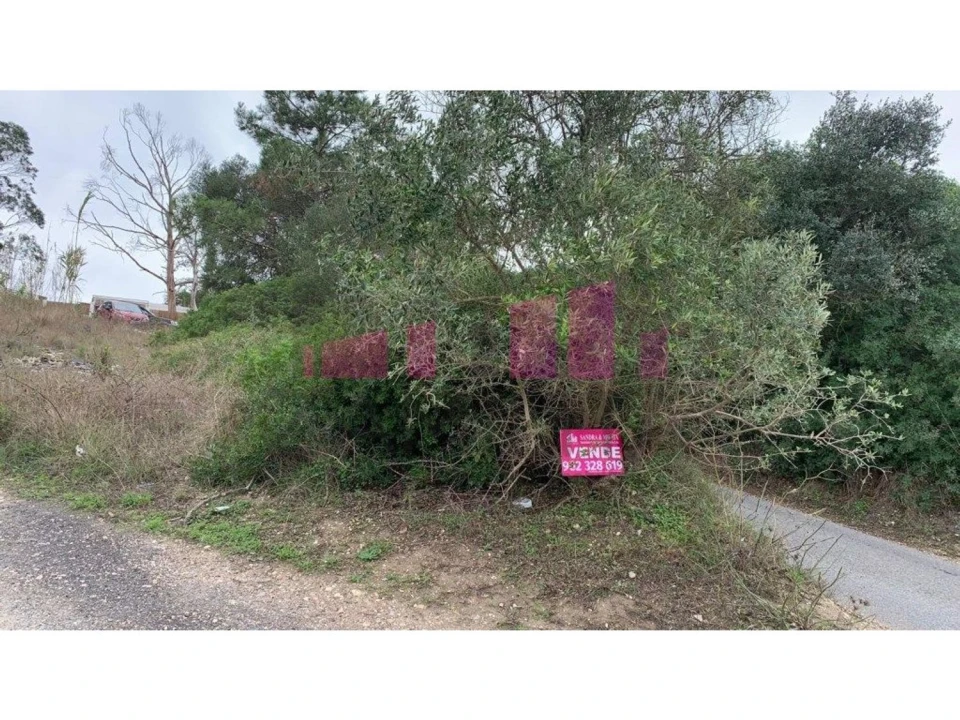 Terreno para Venda em Belazaima do Chão, Castanheira do Vouga e Agadão Foto 4