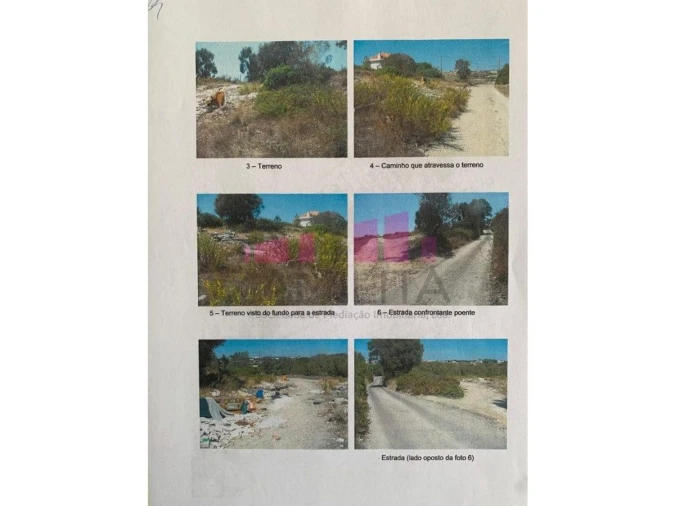 Terreno para Venda em Belazaima do Chão, Castanheira do Vouga e Agadão Foto 2