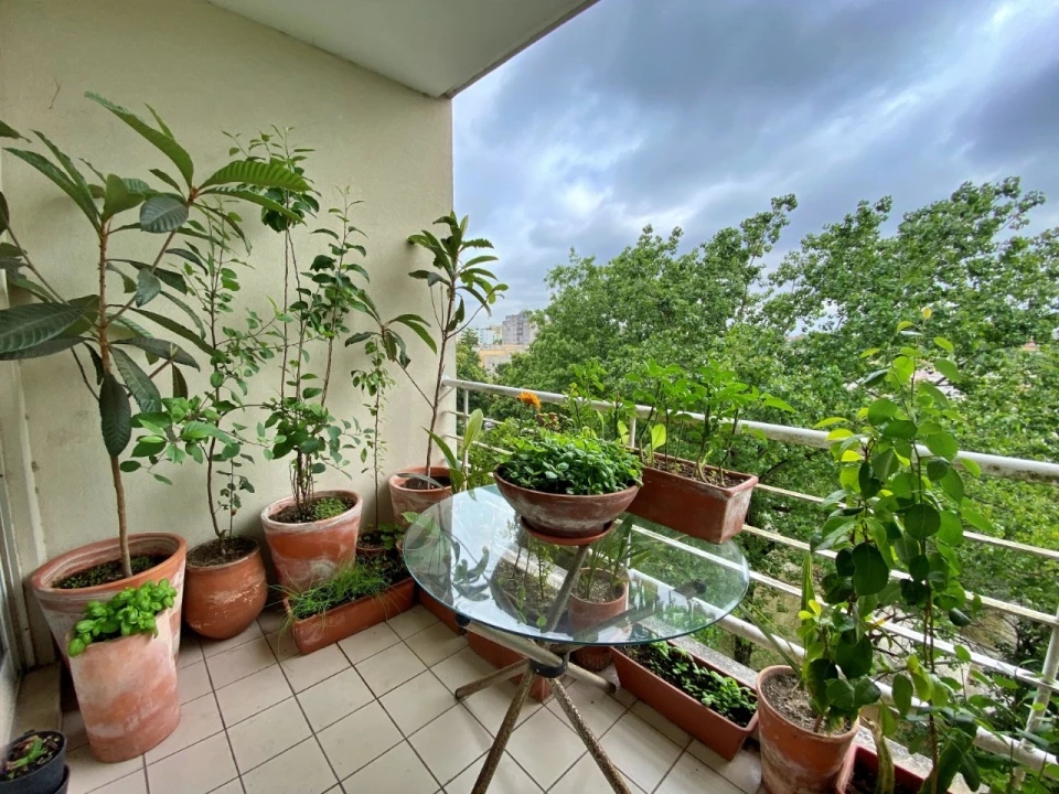 Apartamento T3 para Venda em Paranhos Foto 4