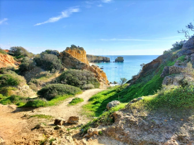 Apartamento T3 para Venda em Guia Foto 32