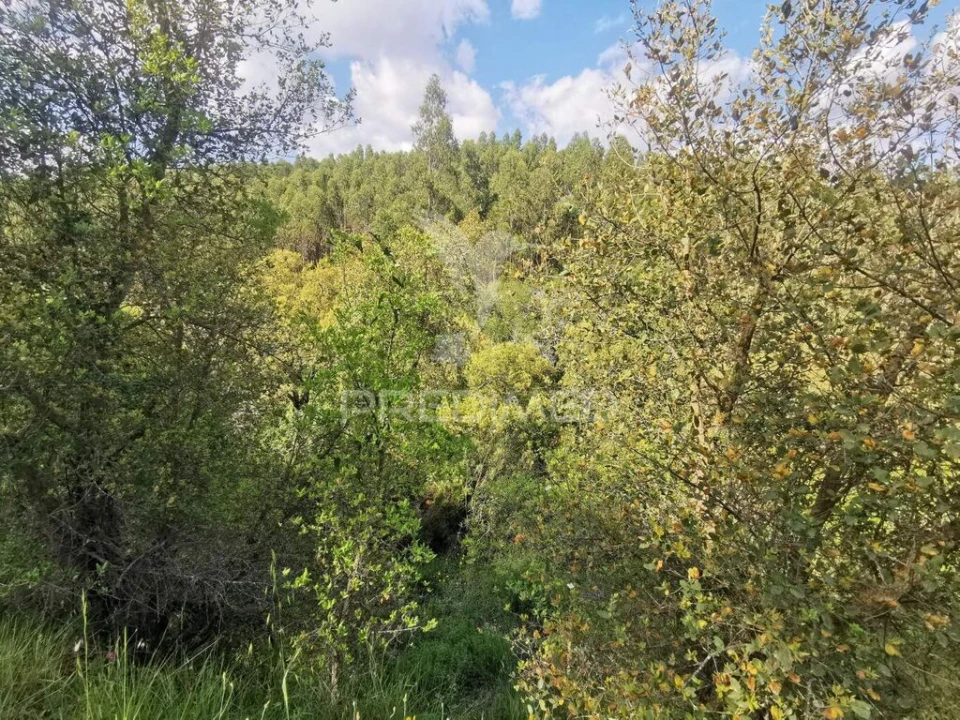 Terreno para Venda em Praia do Ribatejo Foto 14
