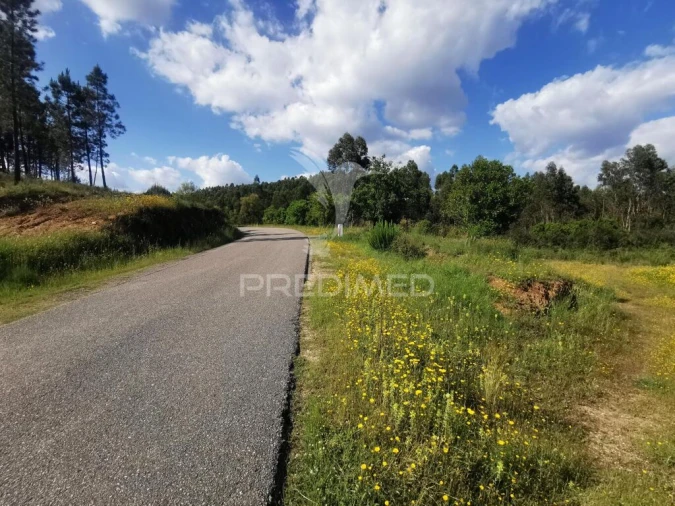 Terreno para Venda em Praia do Ribatejo Foto 6