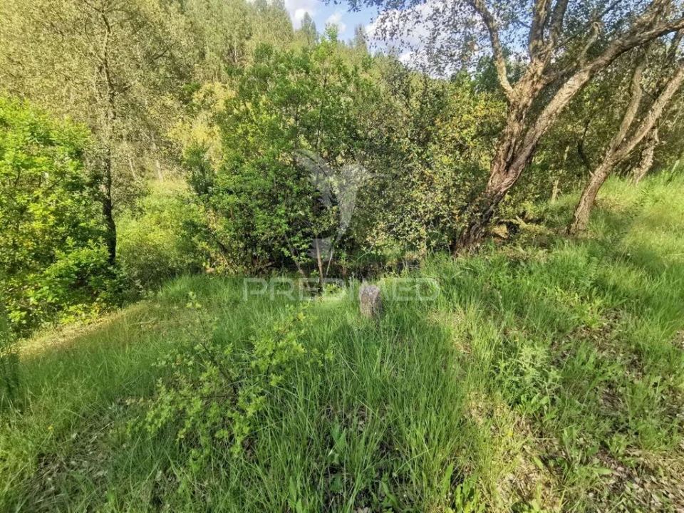 Terreno para Venda em Praia do Ribatejo Foto 11