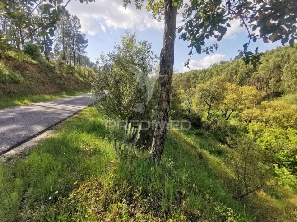 Terreno para Venda em Praia do Ribatejo Foto 4