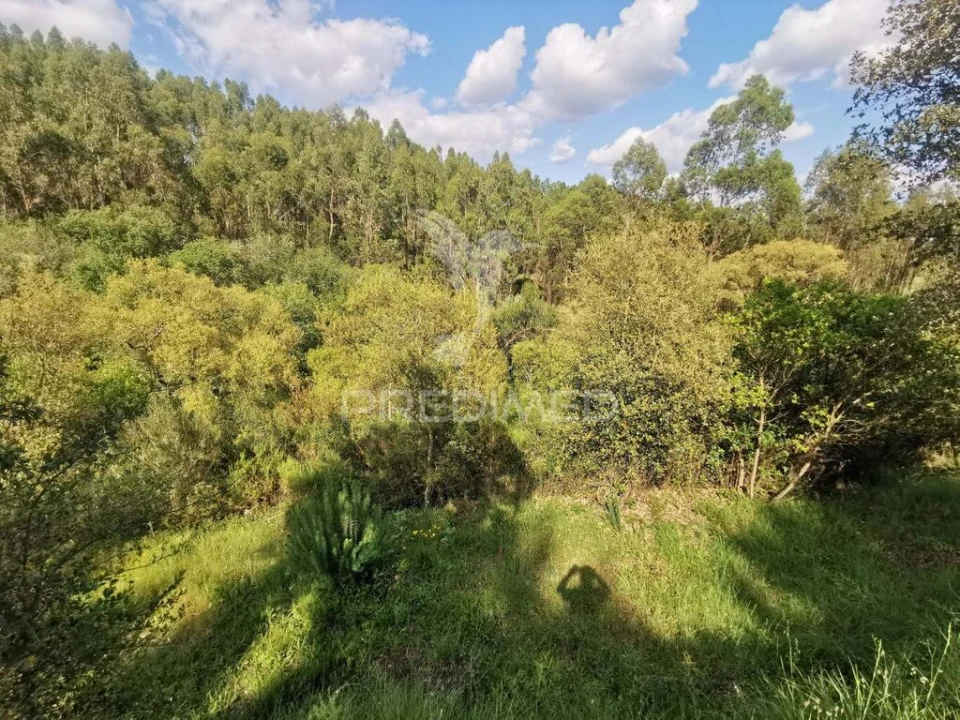Terreno para Venda em Praia do Ribatejo Foto 16