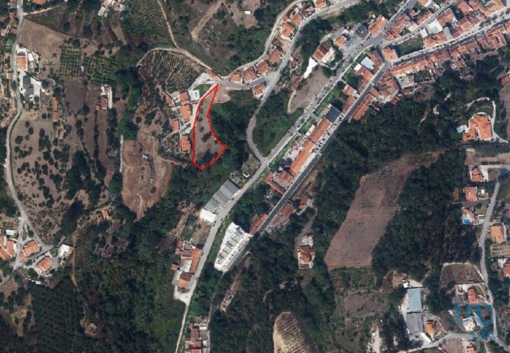 Terreno para Venda em Aljubarrota Foto 5