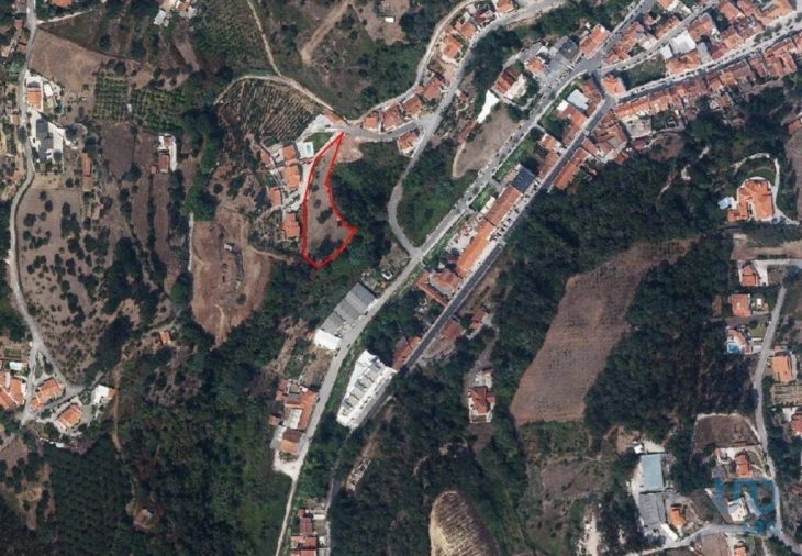 Terreno para Venda em Aljubarrota Foto 5