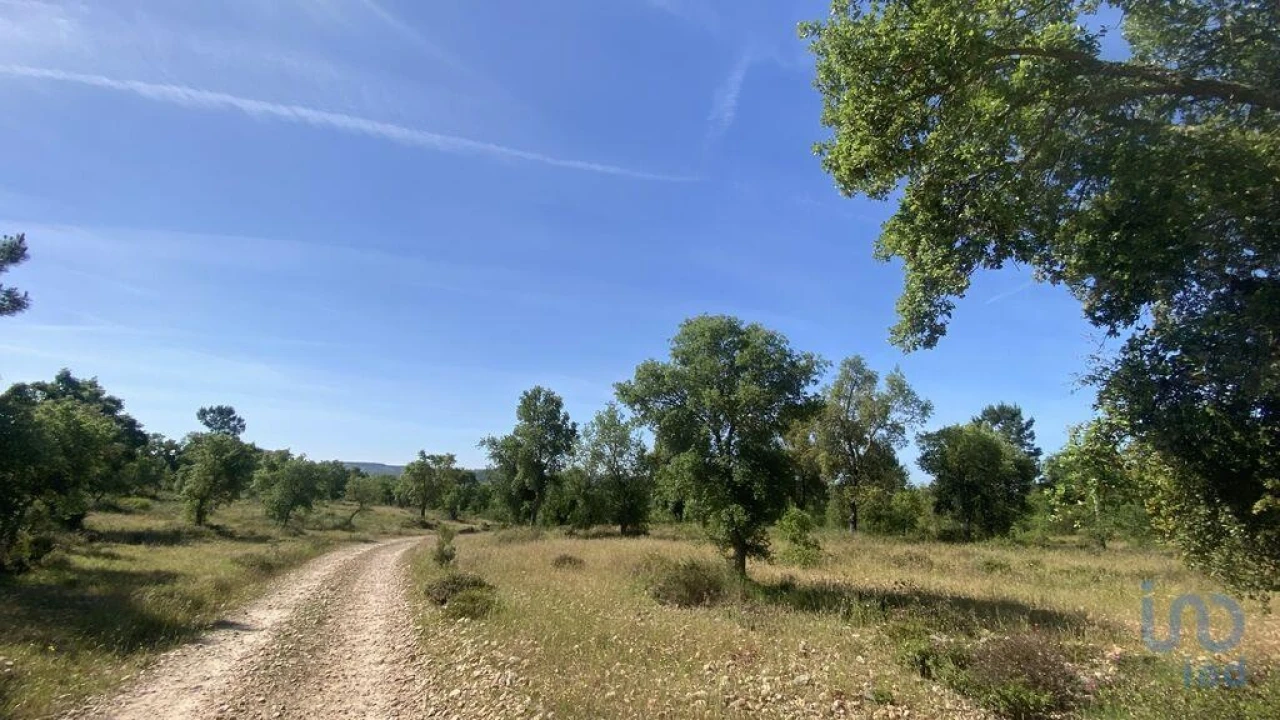 Terreno para Venda em São Facundo e Vale das Mós Foto 5