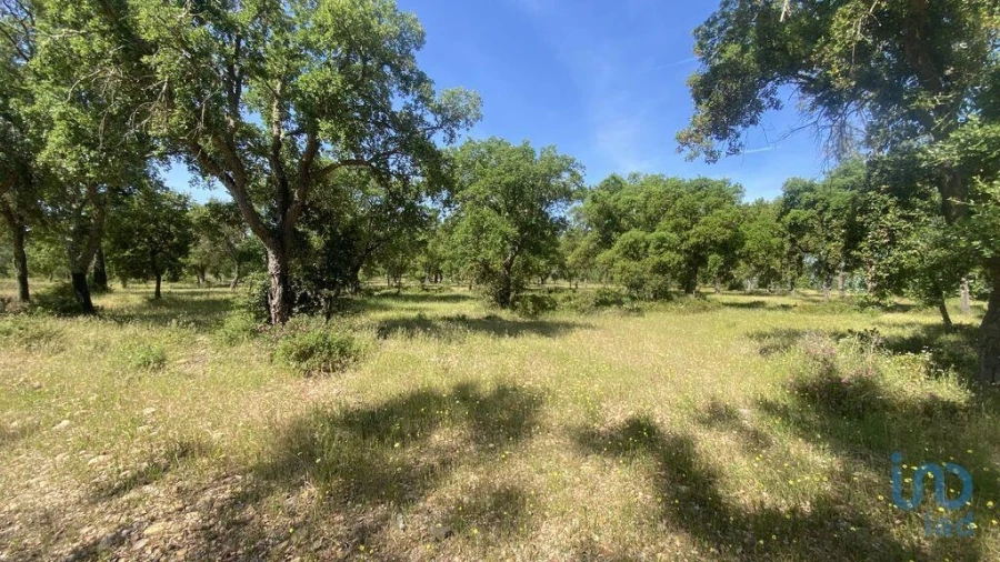 Terreno para Venda em São Facundo e Vale das Mós Foto 3