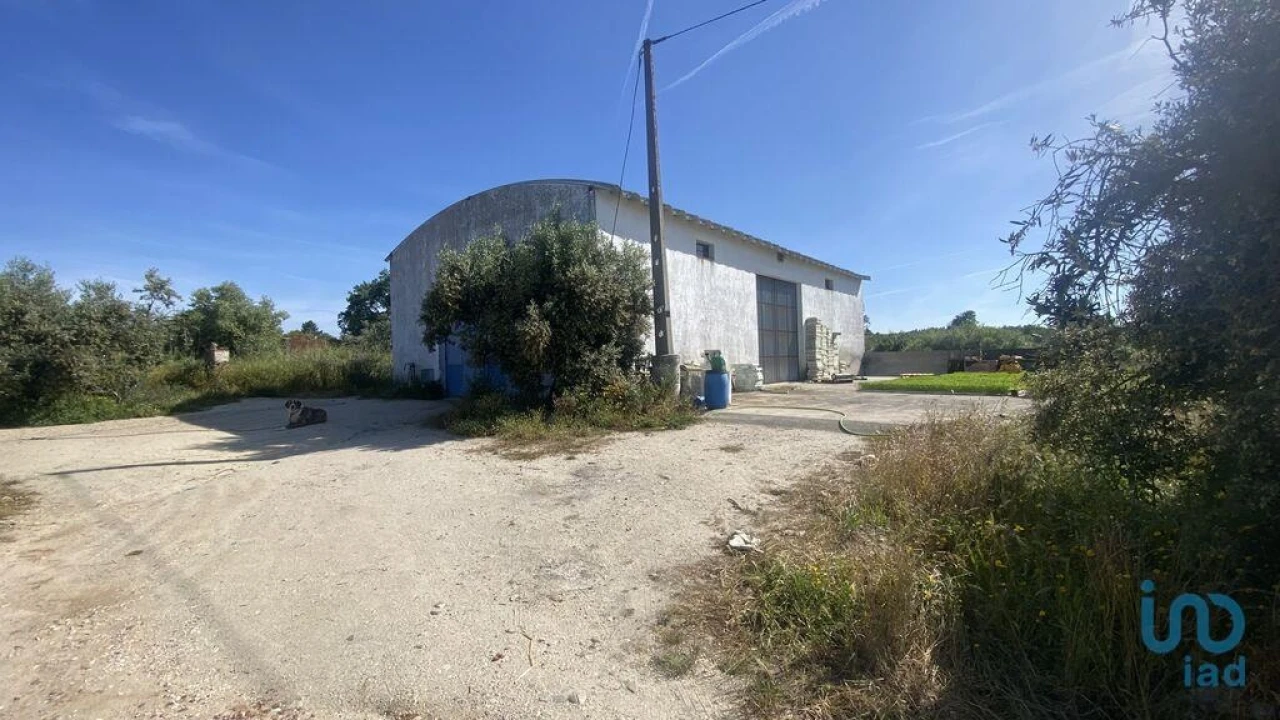 Terreno para Venda em São Facundo e Vale das Mós Foto 2