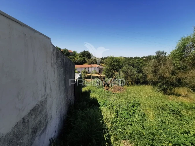 Terreno para Venda em Torres Novas (Santa Maria, Salvador e Santiago) Foto 3
