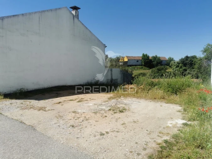Terreno para Venda em Torres Novas (Santa Maria, Salvador e Santiago) Foto 1