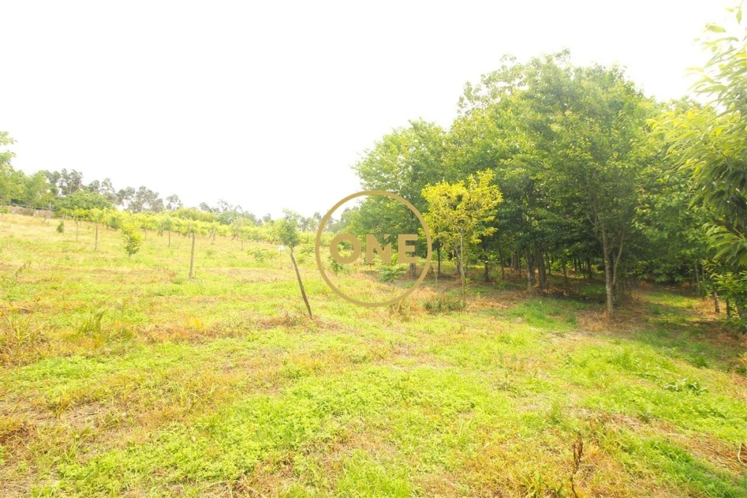 Terreno para Venda em Ribeirão Foto 14