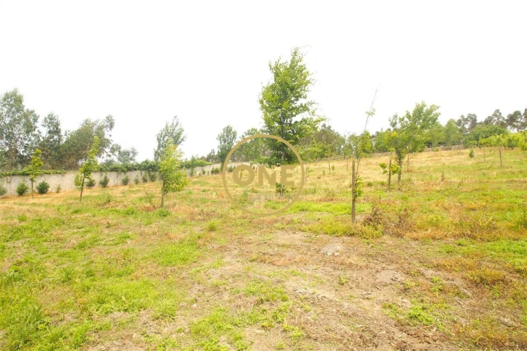 Terreno para Venda em Ribeirão Foto 13