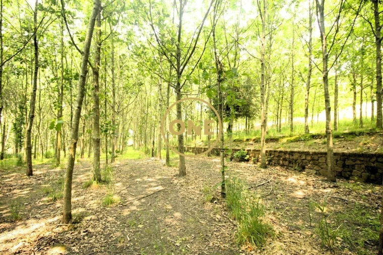 Terreno para Venda em Ribeirão Foto 3