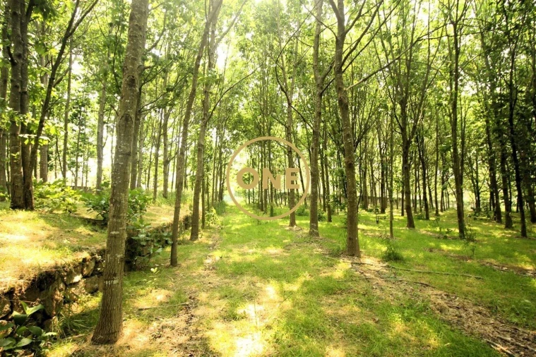 Terreno para Venda em Ribeirão Foto 2