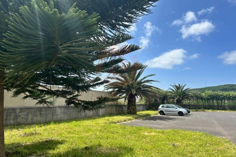 Armazém para Venda em Porto Judeu Foto 34