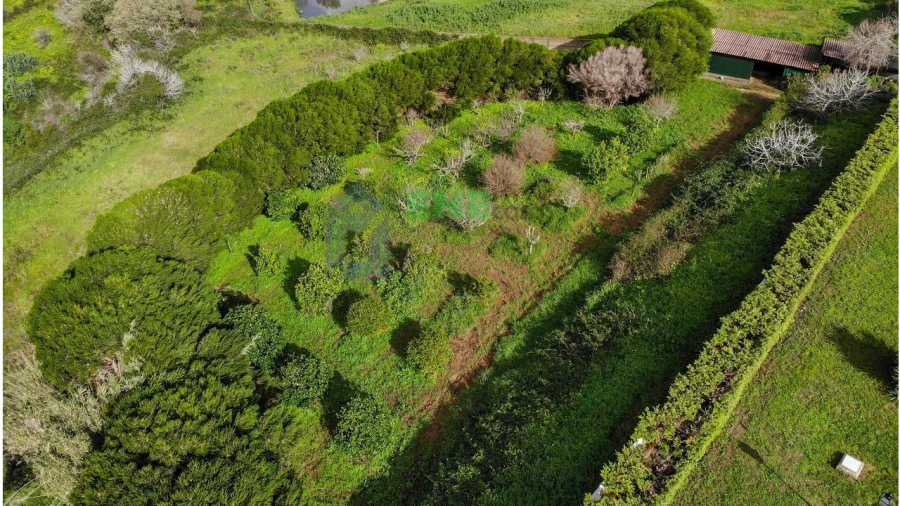 Quinta T4 para Venda em Mafra Foto 29