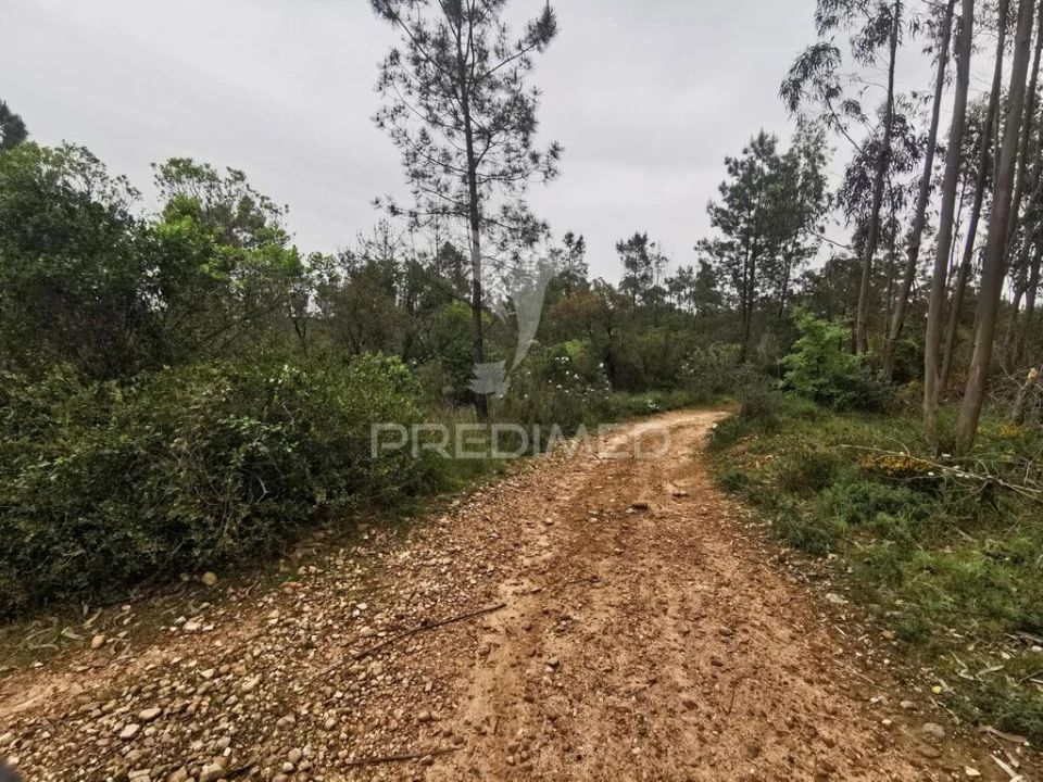 Terreno para Venda em Atalaia Foto 1