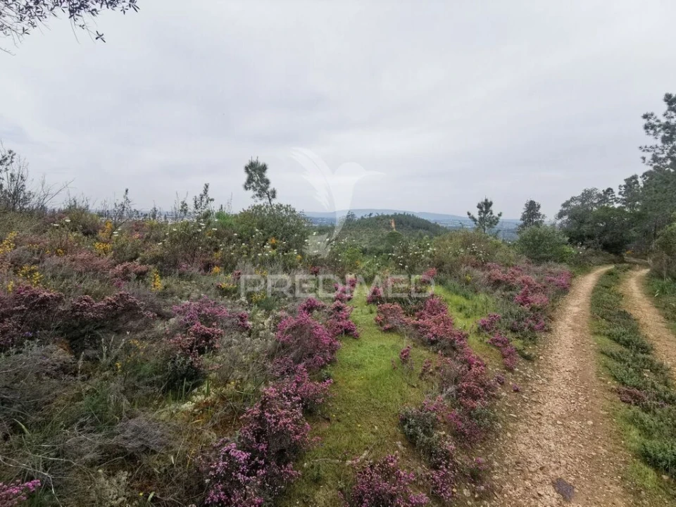 Terreno para Venda em Atalaia Foto 12