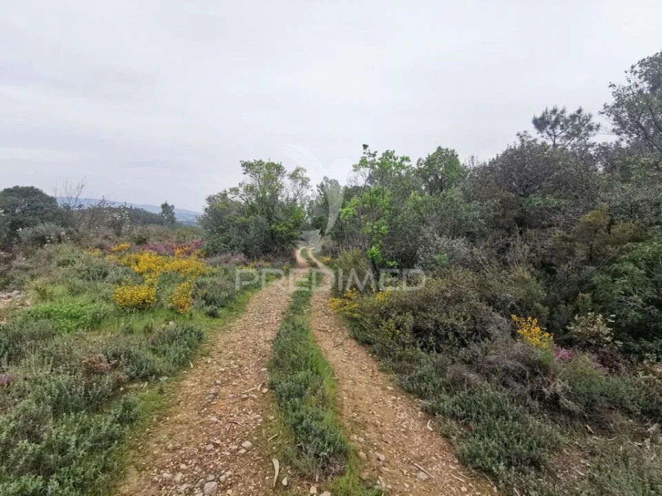 Terreno para Venda em Atalaia Foto 11