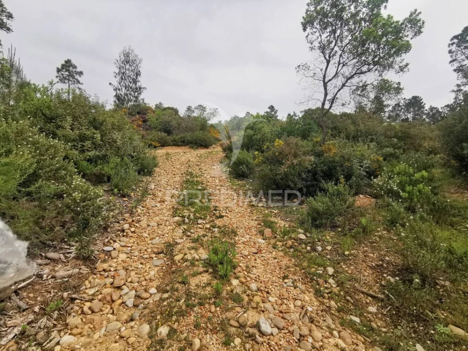 Terreno para Venda em Atalaia Foto 17
