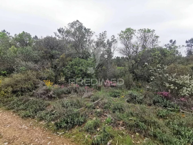 Terreno para Venda em Atalaia Foto 10