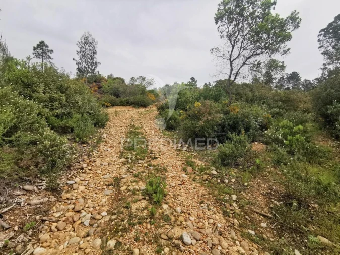Terreno para Venda em Atalaia Foto 18
