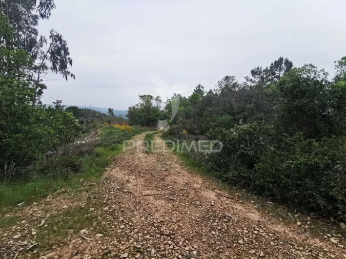 Terreno para Venda em Atalaia Foto 2
