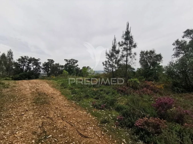 Terreno para Venda em Atalaia Foto 4