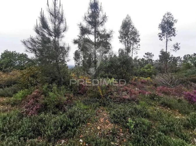 Terreno para Venda em Atalaia Foto 5