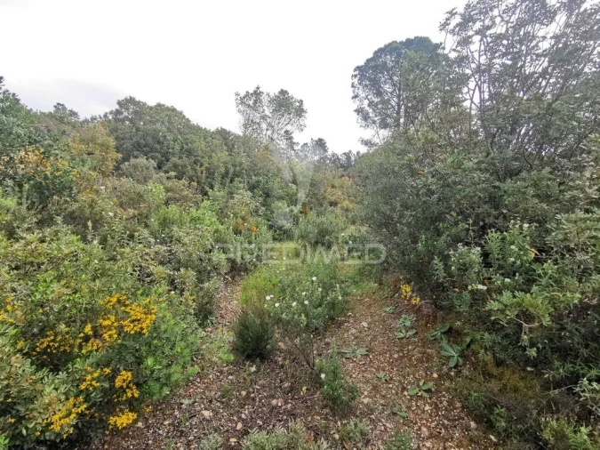 Terreno para Venda em Atalaia Foto 20