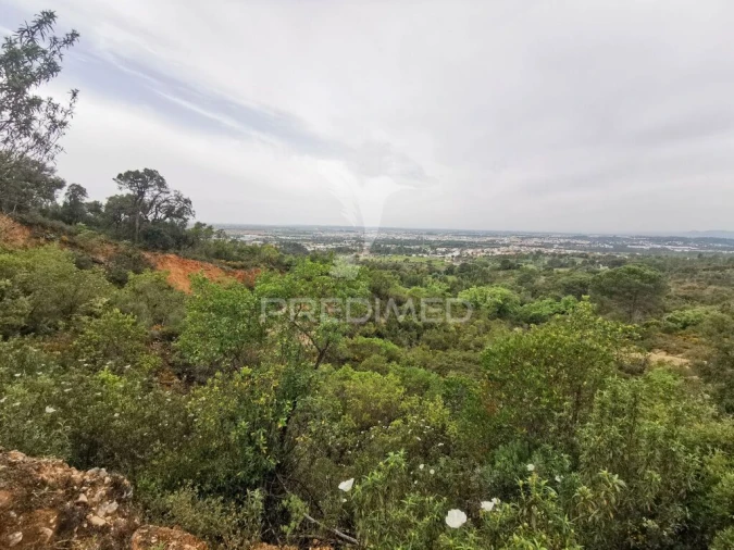 Terreno para Venda em Atalaia Foto 14