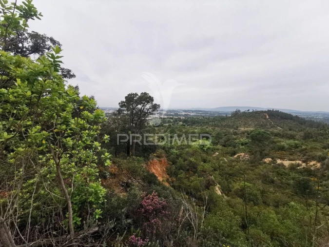 Terreno para Venda em Atalaia Foto 8