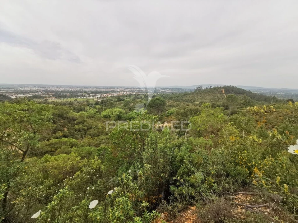 Terreno para Venda em Atalaia Foto 15