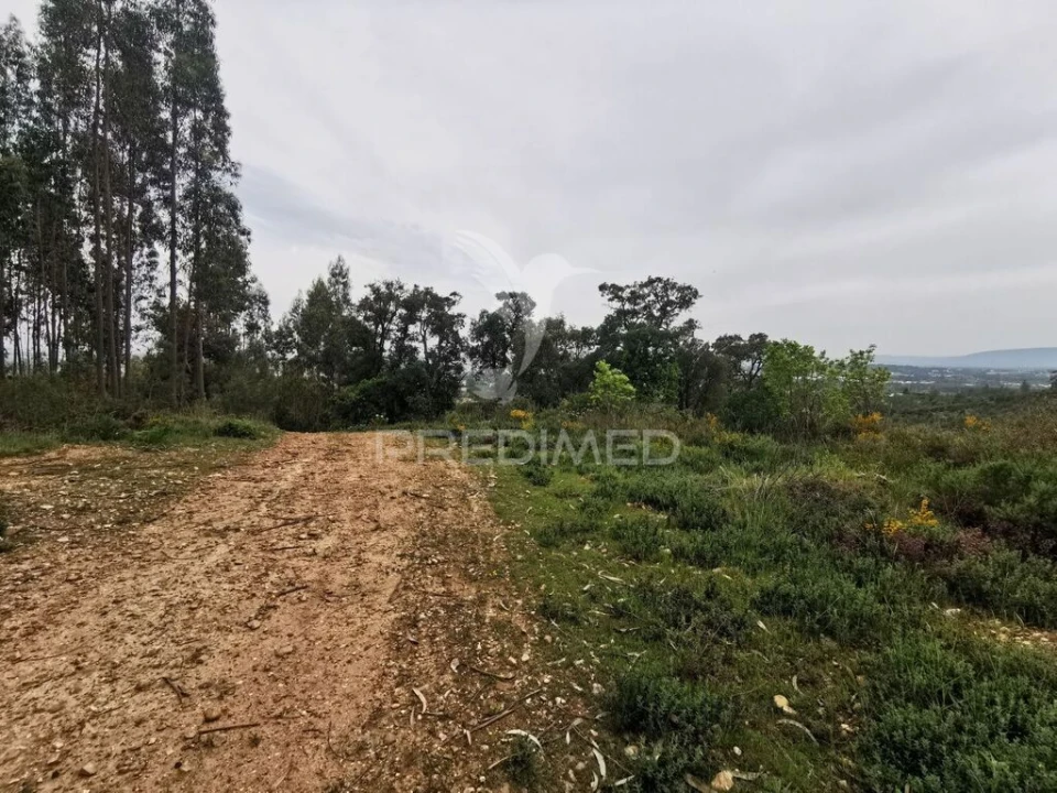 Terreno para Venda em Atalaia Foto 7