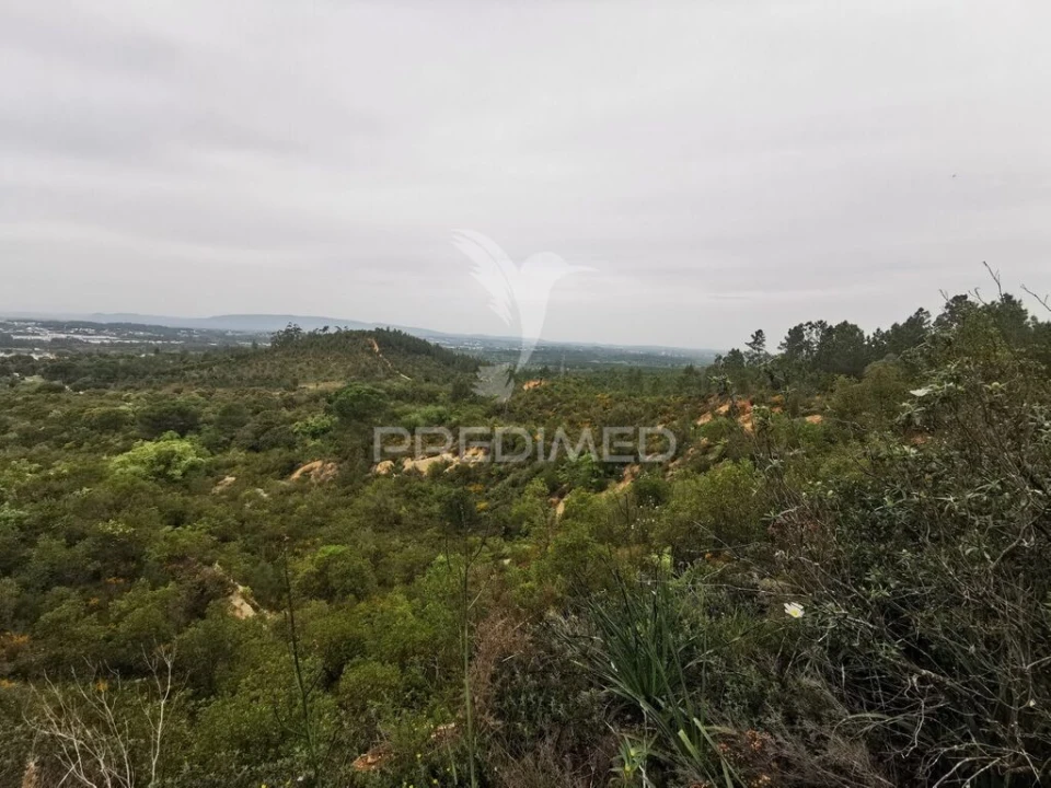 Terreno para Venda em Atalaia Foto 9