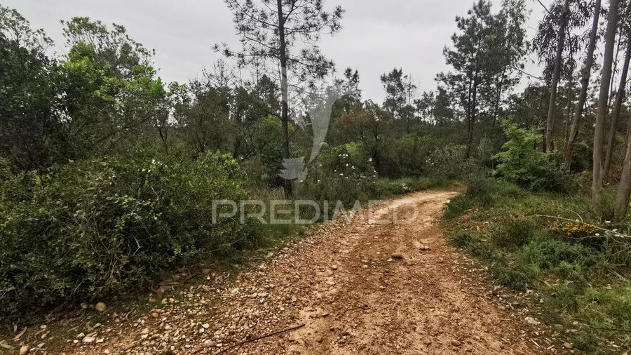 Terreno para Venda em Atalaia