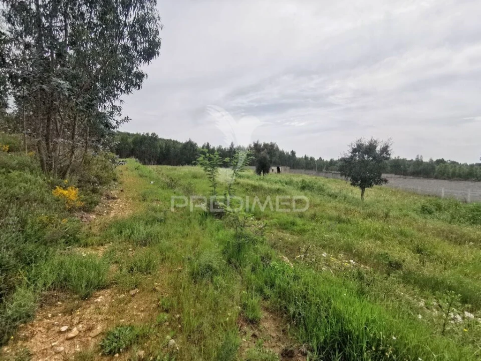 Terreno para Venda em Vila Nova da Barquinha Foto 12