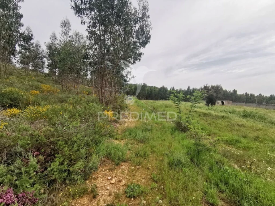 Terreno para Venda em Vila Nova da Barquinha Foto 11