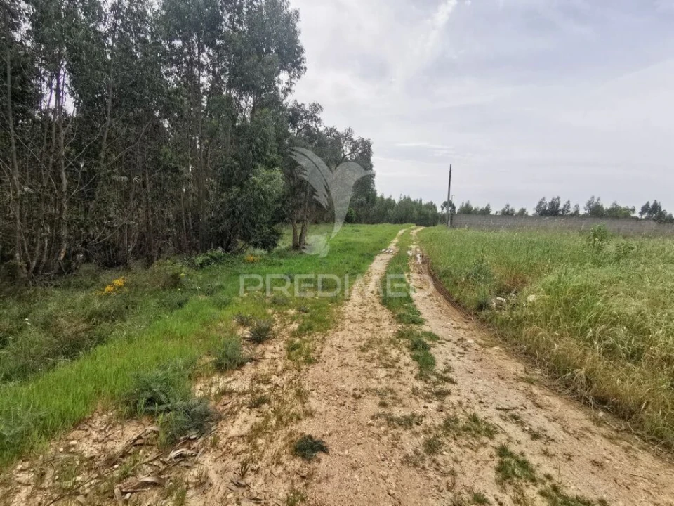 Terreno para Venda em Vila Nova da Barquinha Foto 19